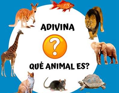 25-26_Adivinanzas de animales_5añosA